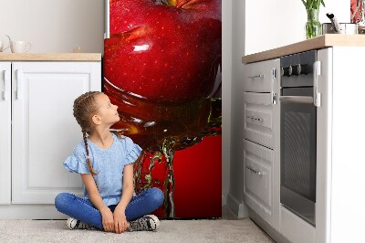 Funda magnética para refrigerador Manzana roja