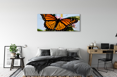 Cuadros sobre lienzo Mariposa de colores