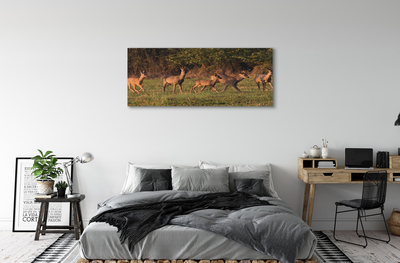 Cuadros sobre lienzo Amanecer ciervos golf
