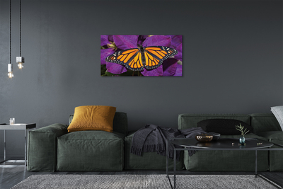 Cuadros sobre lienzo Flores de colores mariposa