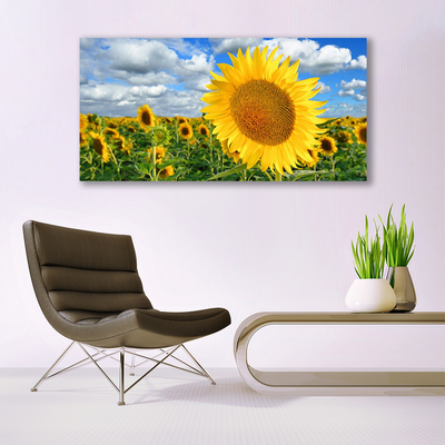 Cuadro en lienzo canvas Girasol flor planta
