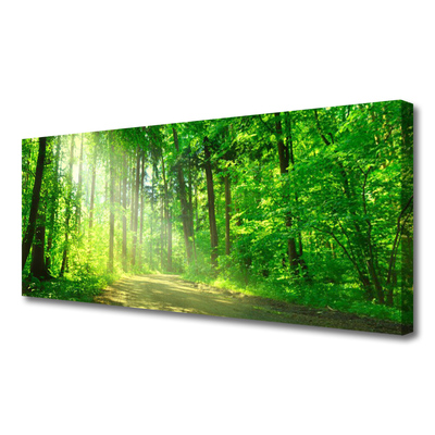Cuadro en lienzo canvas Bosque caminito árboles naturaleza