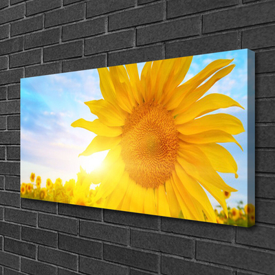 Cuadro en lienzo canvas Girasol flor sol