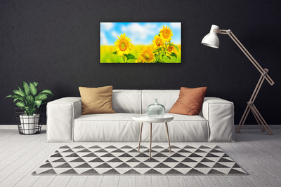 Cuadro en lienzo canvas Girasol flores naturaleza