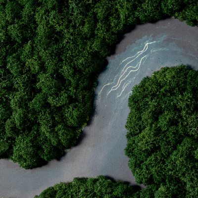 Cuadro de musgo preservado Río en el bosque