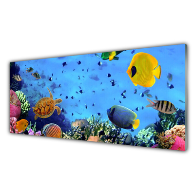 Cuadro de vidrio Arrecife pez naturaleza