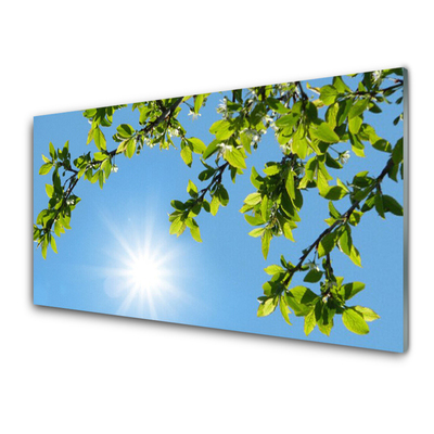 Cuadro de vidrio Sol naturaleza