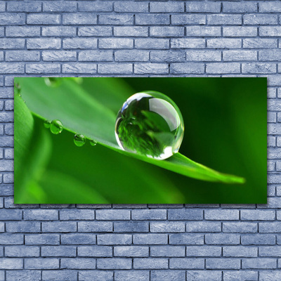 Cuadro de vidrio Hoja agua gotas planta