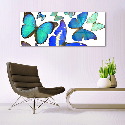 Cuadro de vidrio Mariposas naturaleza