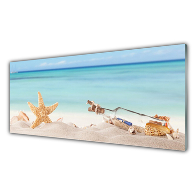 Cuadro en vidrio Estrella de mar conchas playa