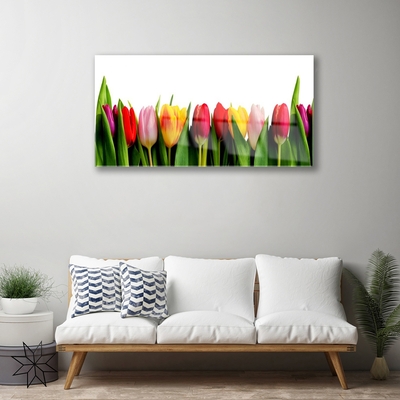 Cuadro de acrílico Tulipanes flora