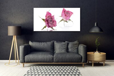 Cuadro en plexiglás Rosas flores planta