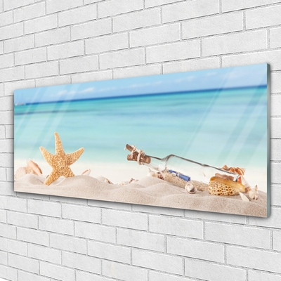 Cuadro en plexiglás Estrella de mar conchas playa