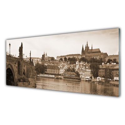 Paneles de pared Praga puente paisaje