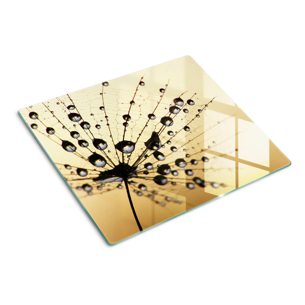 Tabla para cortar Gotas de agua sobre una telaraña