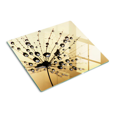 Tabla para cortar Gotas de agua sobre una telaraña