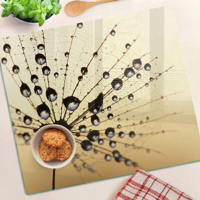 Tabla para cortar Gotas de agua sobre una telaraña
