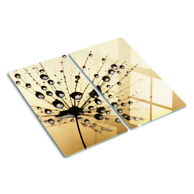 Tabla para cortar Gotas de agua sobre una telaraña