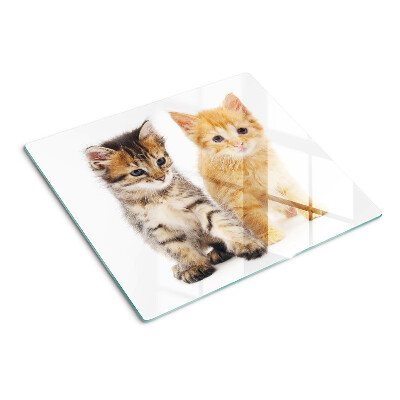 Tabla para cortar Gatos sobre un fondo blanco