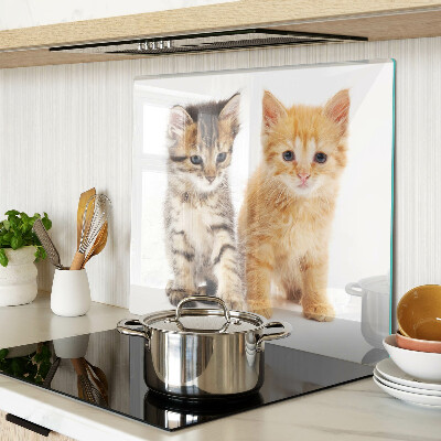 Tabla para cortar Gatos sobre un fondo blanco