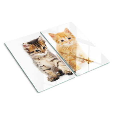 Tabla para cortar Gatos sobre un fondo blanco