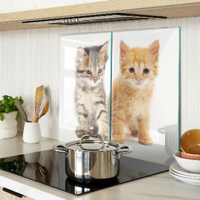 Tabla para cortar Gatos sobre un fondo blanco