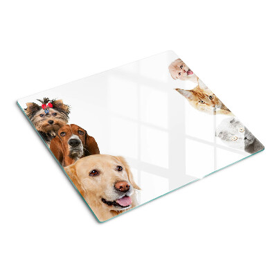Tabla de cortar de cristal Perros y gatos en diferentes poses.