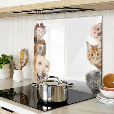 Tabla de cortar de cristal Perros y gatos en diferentes poses.