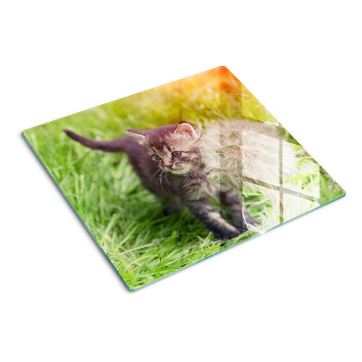 Tabla de cortar de cristal Gato en la hierba