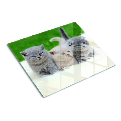 Tabla para cortar Gatitos sobre un fondo verde