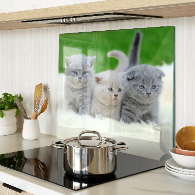 Tabla para cortar Gatitos sobre un fondo verde