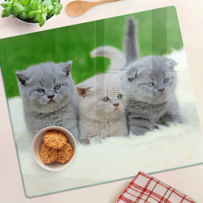 Tabla para cortar Gatitos sobre un fondo verde