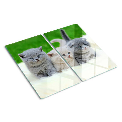 Tabla para cortar Gatitos sobre un fondo verde
