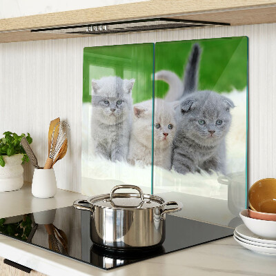 Tabla para cortar Gatitos sobre un fondo verde