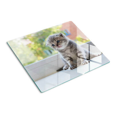 Tabla para cortar Gatito en el alféizar de la ventana