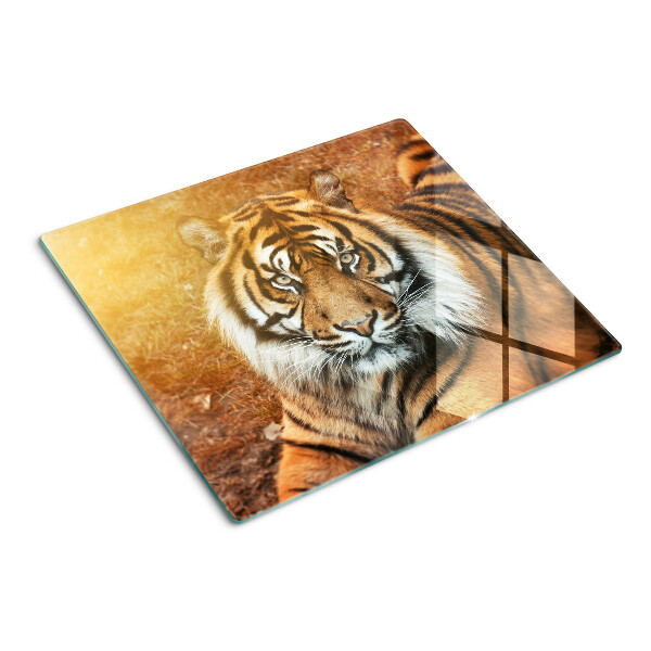 Tabla de cortar de cristal Tigre al sol