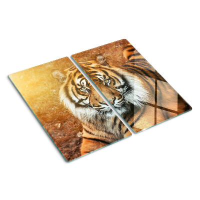 Tabla de cortar de cristal Tigre al sol