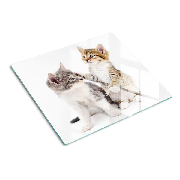 Tabla de cortar de cristal Gatos sobre un fondo blanco
