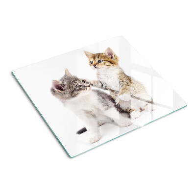 Tabla de cortar de cristal Gatos sobre un fondo blanco