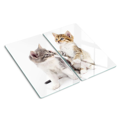 Tabla de cortar de cristal Gatos sobre un fondo blanco