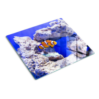 Tabla de cortar de cristal Pez payaso entre las rocas