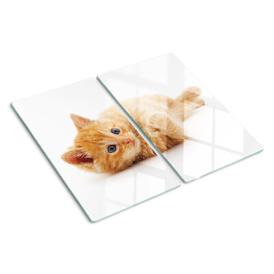Tabla para cortar Gatito pelirrojo sobre un fondo blanco