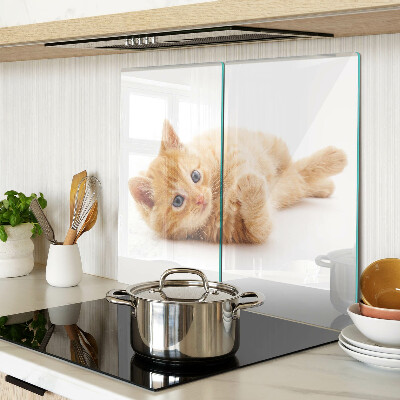 Tabla para cortar Gatito pelirrojo sobre un fondo blanco