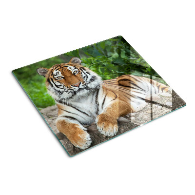 Tabla de cortar de cristal Tigre en su hábitat natural