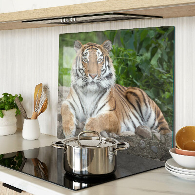 Tabla de cortar de cristal Tigre en su hábitat natural