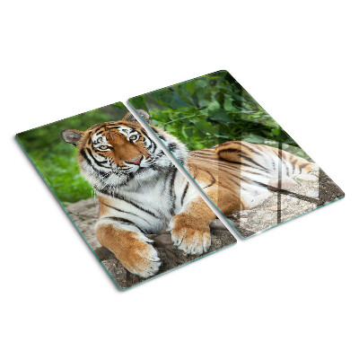 Tabla de cortar de cristal Tigre en su hábitat natural