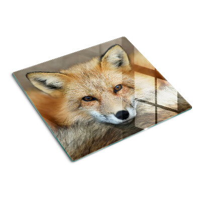 Tabla de cortar de cristal Zorro rojo joven