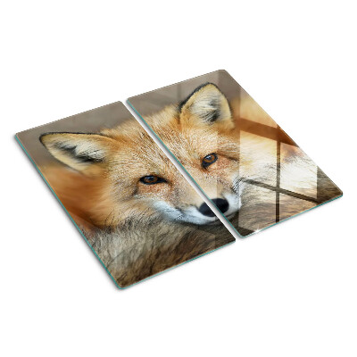 Tabla de cortar de cristal Zorro rojo joven