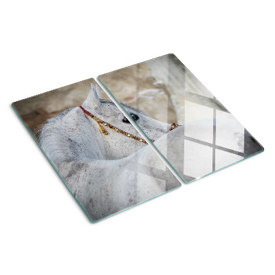 Tabla de cortar de cristal Caballo joven blanco