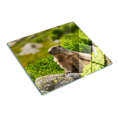 Tabla de cortar de cristal Marmota sobre un fondo de hierba verde